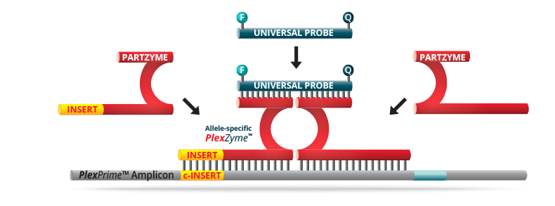 PlexPrimeDetection3