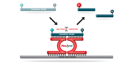 PlexZymeTech3